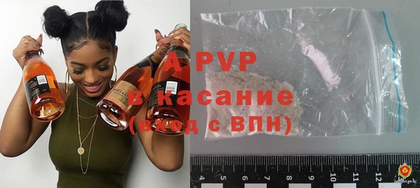 индика Михайловск