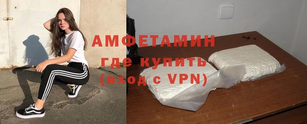 индика Михайловск