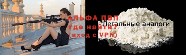 индика Михайловск