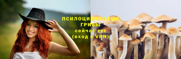 Альфа ПВП Михайлов