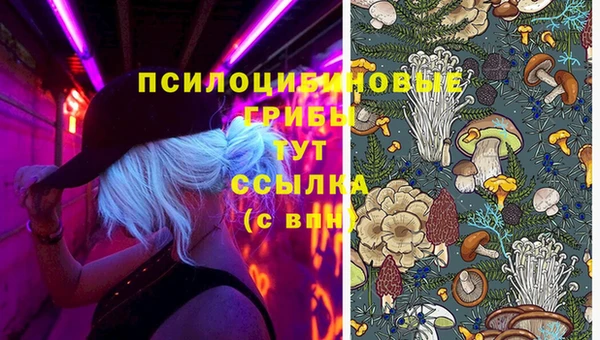 индика Михайловск