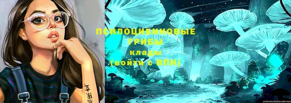 мдпв Михайловка