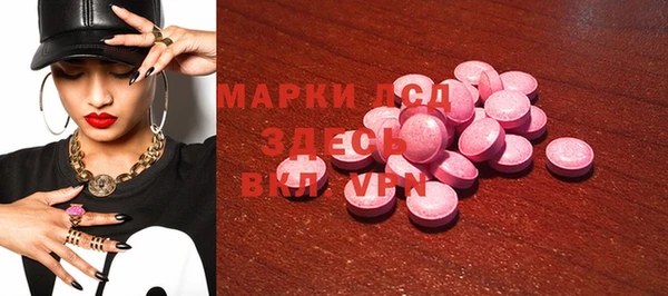 индика Михайловск