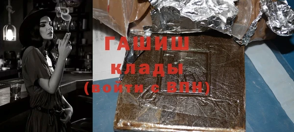 индика Михайловск