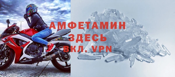 индика Михайловск