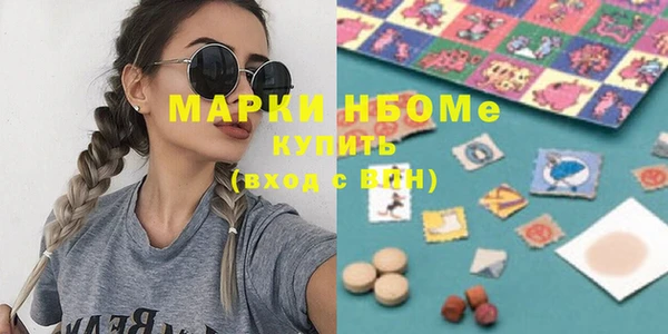 индика Михайловск