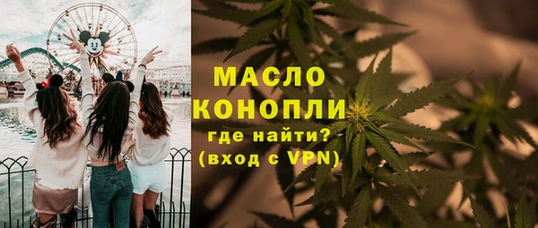индика Михайловск