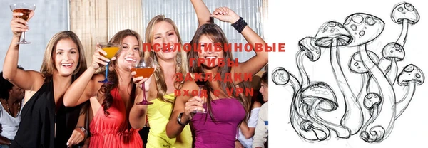 2c-b Мегион