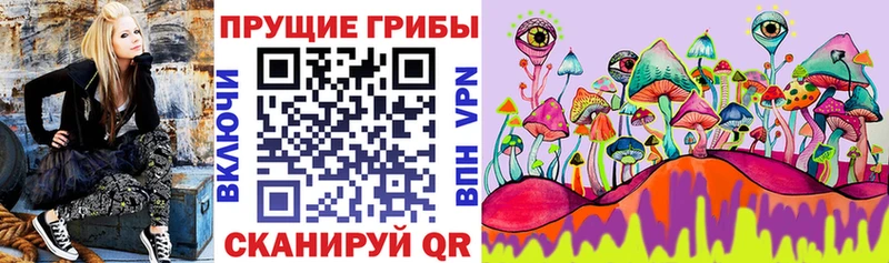 где найти   Ишимбай  Псилоцибиновые грибы Magic Shrooms 