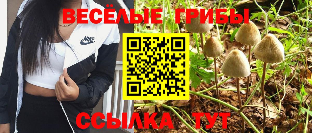 Псилоцибиновые грибы Magic Shrooms Ишимбай