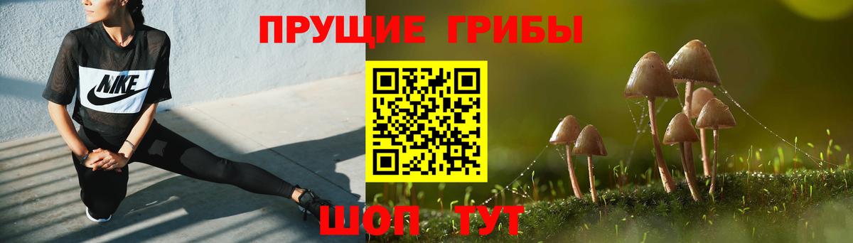 Галлюциногенные грибы GOLDEN TEACHER Ишимбай